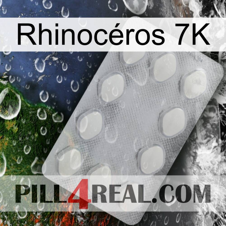 Rhinocéros 7K 16